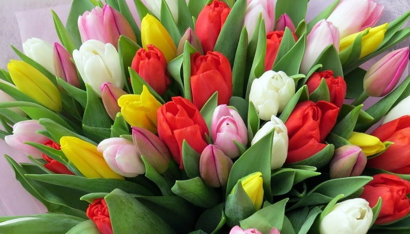 С праздником 8 Марта!